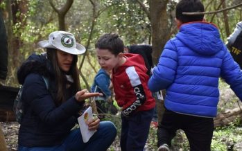 Ecoturismo en la Reserva Natural Educativa de Ingeniero Maschwitz