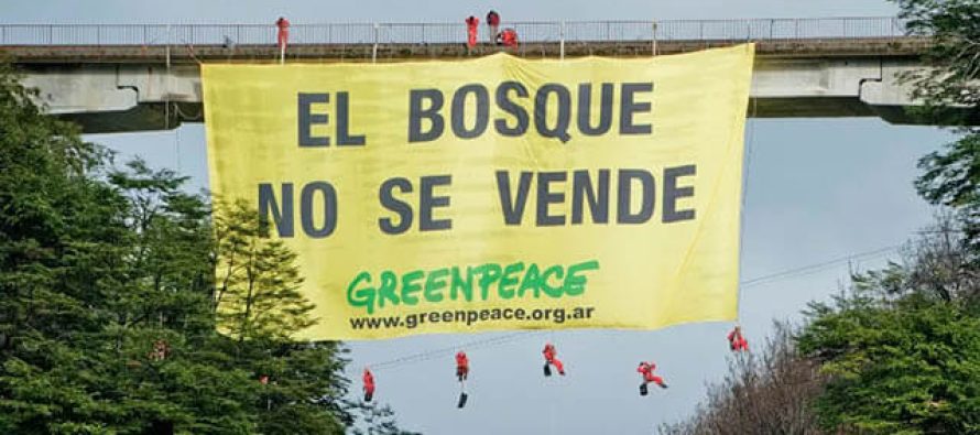 Para Greenpeace, “las leyes ambientales continúan en peligro” aún con las modificaciones