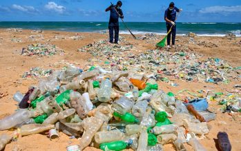 El 24% de los químicos presentes en los plásticos son de “alta preocupación” para la salud humana