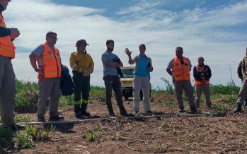 Especialistas de la Universidad del Litoral realizan quemas controladas en humedales para evitar incendios