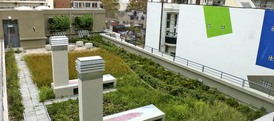 Techos verdes: una alternativa ante las lluvias urbanas en exceso