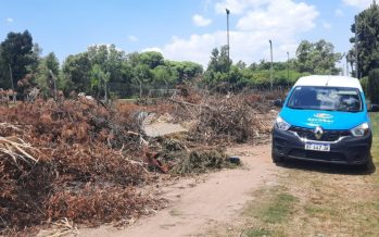 Escobar: multas por no respetar el cronograma de recolección de ramas