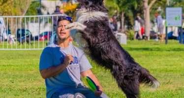San Fernando festejó el Día del Animal en un gran evento con actividades