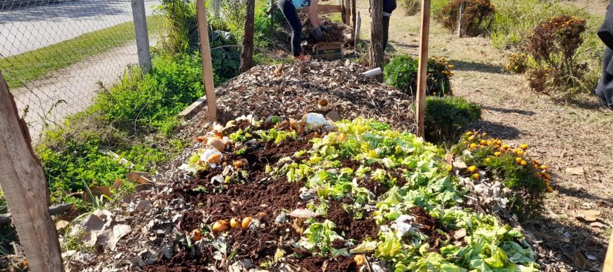 Mes del Compostaje en el barrio Villa Jardín de San Fernando