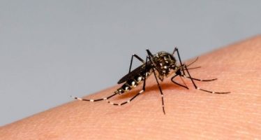 Nuevo informe sobre la situación del dengue en nuestra región