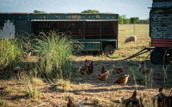 Agronegocios: mapa de la conflictividad bonaerense