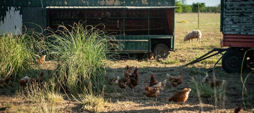 Agronegocios: mapa de la conflictividad bonaerense