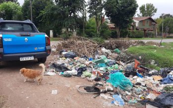 Cronograma semanal de recolección de ramas y podas en Escobar