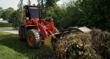 Cronograma para la recolección de ramas de esta semana en Escobar