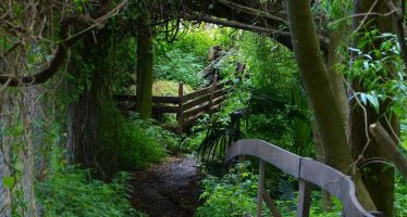 Reserva Ecológica: el espacio verde de Vicente López en el Día Mundial del Medio Ambiente