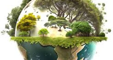 Día del Ambiente: ¡Afuera!