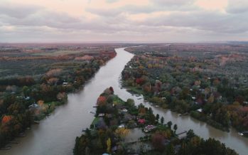 Tigre celebra el Día Mundial del Ambiente