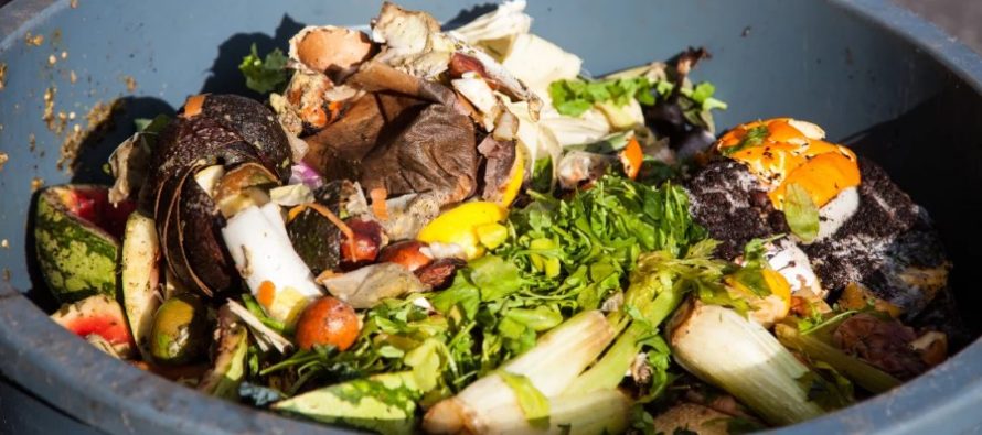 En Argentina se pierden y desperdician más de 16 millones de toneladas de comida por año