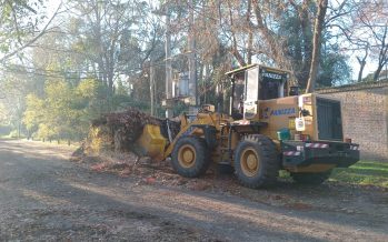 Cronograma del sistema de recolección de ramas de Escobar para esta semana