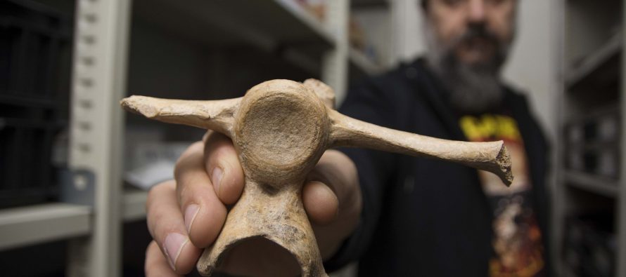 Cuenca Reconquista: encuentran la evidencia de presencia humana más antigua de Sudamérica