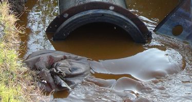 Condenan por contaminación ambiental a tres años de prisión condicional a dos directivos de un ingenio