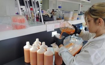 Prebióticos a partir de zanahorias descartadas: innovación para la salud y el ambiente