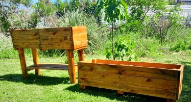 Punta Querandí fomenta el cultivo domiciliario