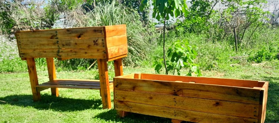 Punta Querandí fomenta el cultivo domiciliario