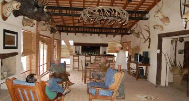 Caza & Safari: investigan lo que podría ser el caso más grande de tráfico de fauna en Argentina