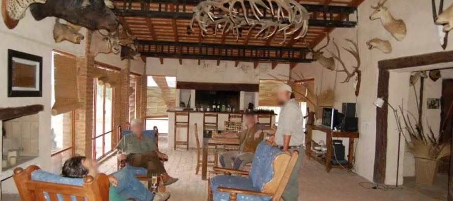 Caza & Safari: investigan lo que podría ser el caso más grande de tráfico de fauna en Argentina