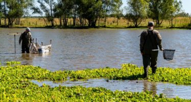 El COMIREC monitorea la calidad del agua del Río Reconquista