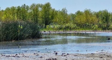 Obras en las reservas naturales de la Cuenca Alta del Reconquista