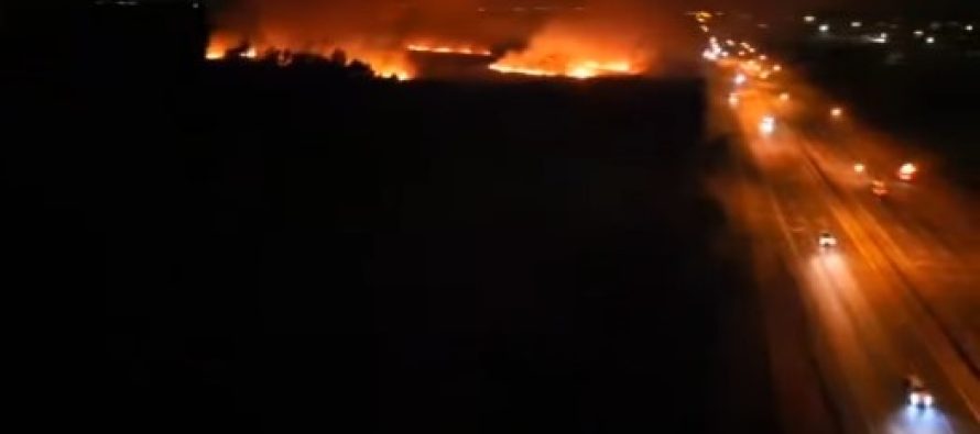 Incendio en el Parque Nacional Ciervo de los Pantanos