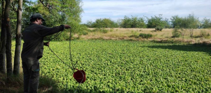 Río Reconquista: se realizó el monitoreo mensual de calidad de agua