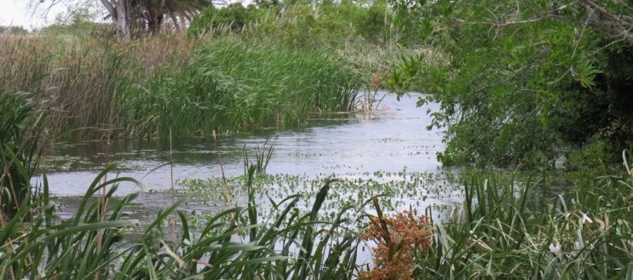 Grave denuncia contra el juez que investiga la causa de Naudir Delta en Escobar