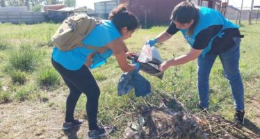 Dengue: descacharrado en Vicente López y San Fernando