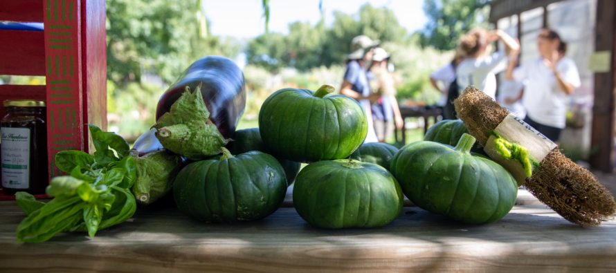 Se viene el Festival de los Huerteros en Martínez