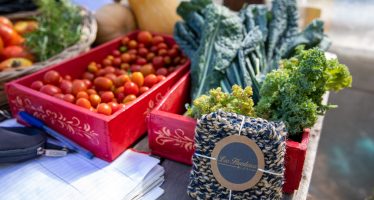Comienza la Feria de los Huerteros de San Isidro con productos frescos y saludables