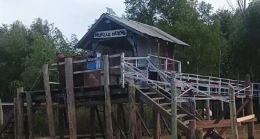 Vecinos del Delta de Tigre convocan a una ‘Caravana de botes’ por el estado de las costas