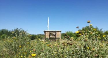 La Reserva Natural de Pilar ofrece visitas guiadas educativas