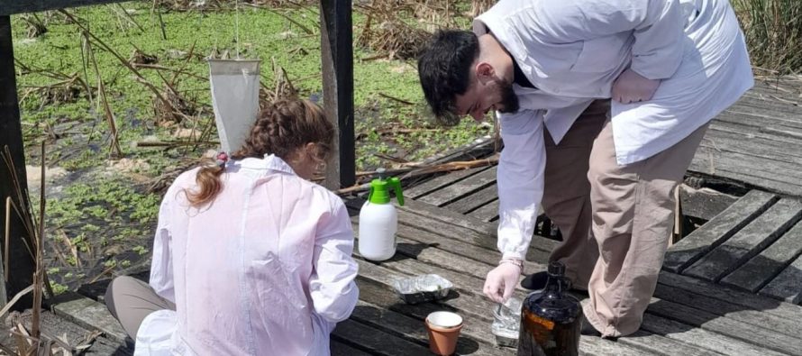 Estudian la presencia de microplásticos en el Parque Nacional Ciervo de los Pantanos