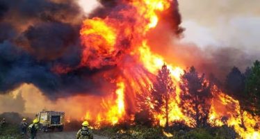 El gobierno nacional quiere modificar la Ley de Manejo del Fuego