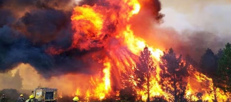 Casi toda la provincia de Buenos Aires está bajo peligro extremo de incendios