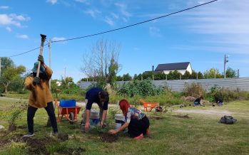 Punta Querandí: agroecología y reforestación de nativas