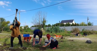 Punta Querandí: agroecología y reforestación de nativas