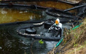 El impacto de la actividad humana en la biodiversidad: “Tenemos que aprender a convivir y no destrozar todo”