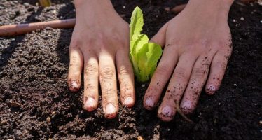 Se aprobó el puntaje docente para la capacitación “Ecopatios y ambiente en el Río Reconquista”