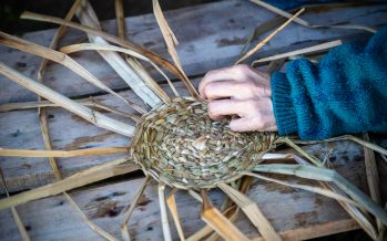 Talleres abiertos de Cestería en Punta Querandí