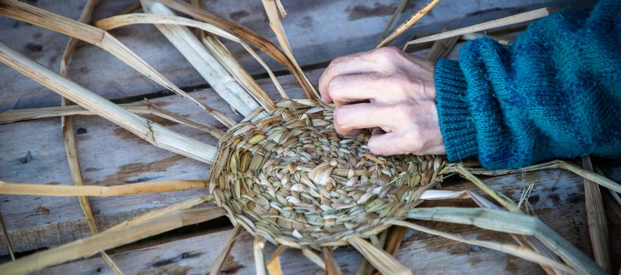 Talleres abiertos de Cestería en Punta Querandí