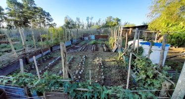 Se intensifica el cultivo en la huerta de Punta Querandí