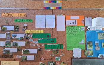 En Morón funciona una escuela primaria de gestión social, cooperativa y sustentable