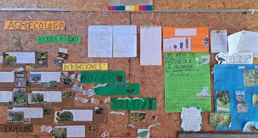 En Morón funciona una escuela primaria de gestión social, cooperativa y sustentable