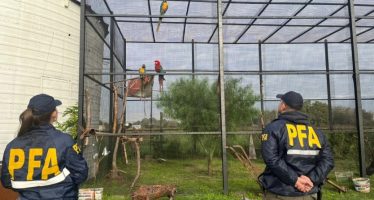 Rescataron de un zoológico clandestino a animales en cautiverio