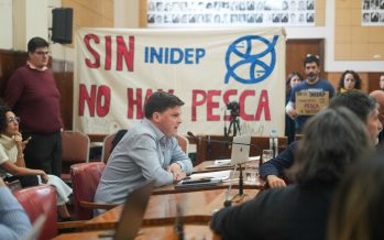 Crisis en el sector pesquero: no cesan los despidos