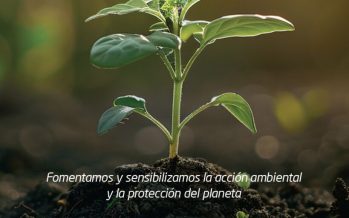 Morón conmemora el Día Mundial del Ambiente con una jornada en Plaza La Roche